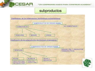 subproductos

 