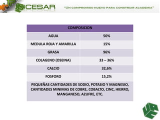 COMPOSICION
AGUA

50%

MEDULA ROJA Y AMARILLA

15%

GRASA

96%

COLAGENO (OSEINA)

33 – 36%

CALCIO

32,6%

FOSFORO

15,2%

PEQUEÑAS CANTIDADES DE SODIO, POTASIO Y MAGNESIO,
CANTIDADES MINIMAS DE COBRE, COBALTO, CINC, HIERRO,
MANGANESO, AZUFRE, ETC.

 