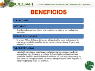 FINANCIEROS
SANITARIOS
• Se reduce el numero de plagas y se contribuye a mejorar las condiciones
sanitarias.
MEJORA DEL GANADO
• Si se dan 200 gr de harina de huesos a los animales, sobre todo durante la
estación seca del año, aquellos logran un aumento asombroso de peso y de
producción lechera.
VALOR EDUCATIVO
• La notable mejora que se produce en el estado de los animales puede ser
aprovechada para demostrar la utilidad de los métodos perfeccionados de
ganadería. También puede haber deficiencia de sal y de oligoelementos y en
tales casos, su incorporación en las bolas y brinquetas para lamer mejorara la
salud y la producción de los animales.

 