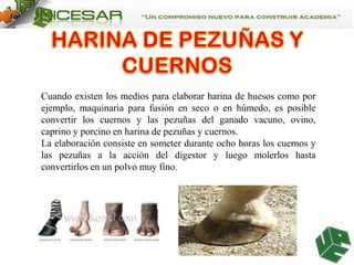 Cuando existen los medios para elaborar harina de huesos como por
ejemplo, maquinaria para fusión en seco o en húmedo, es posible
convertir los cuernos y las pezuñas del ganado vacuno, ovino,
caprino y porcino en harina de pezuñas y cuernos.
La elaboración consiste en someter durante ocho horas los cuernos y
las pezuñas a la acción del digestor y luego molerlos hasta
convertirlos en un polvo muy fino.

 