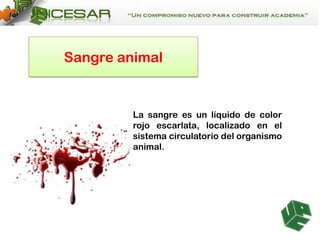 Sangre animal

La sangre es un líquido de color
rojo escarlata, localizado en el
sistema circulatorio del organismo
animal.

 