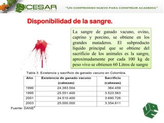 Disponibilidad de la sangre.
La sangre de ganado vacuno, ovino,
caprino y porcino, se obtiene en los
grandes mataderos. El subproducto
líquido principal que se obtiene del
sacrificio de los animales es la sangre,
aproximadamente por cada 100 kg de
peso vivo se obtienen 60 Litros de sangre

 
