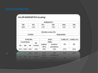 VALOR ENERGÉTICO
 FEDNA. 2007
 