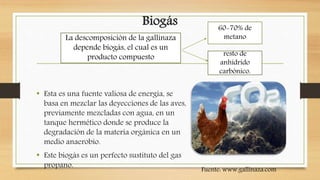 Biogás
• Esta es una fuente valiosa de energía, se
basa en mezclar las deyecciones de las aves,
previamente mezcladas con agua, en un
tanque hermético donde se produce la
degradación de la materia orgánica en un
medio anaerobio.
• Este biogás es un perfecto sustituto del gas
propano.
Fuente: www.gallinaza.com
60-70% de
metano
resto de
anhídrido
carbónico.
La descomposición de la gallinaza
depende biogás, el cual es un
producto compuesto
 