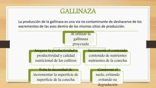 GALLINAZA
La producción de la gallinaza es una vía no contaminante de deshacerse de los
excrementos de las aves dentro de los mismos sitios de producción.
Al utilizar la
gallinaza
procesada
Asegura la productividad y
productividad y calidad
nutricional de los cultivos
Evita la necesidad de
incrementar la superficie de
superficie de la cosecha
Incrementa el contenido
contenido de nutrientes
nutrientes de la cosecha
Conservar el
suelo, evitando
evitando su
degradación
 