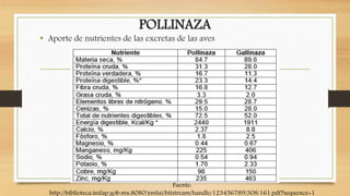 POLLINAZA
• Aporte de nutrientes de las excretas de las aves
Fuente:
http://biblioteca.inifap.gob.mx:8080/xmlui/bitstream/handle/123456789/308/161.pdf?sequence=1
 