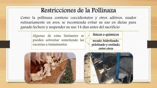 Restricciones de la Pollinaza
Como la pollinaza contiene coccidiostatos y otros aditivos, usados
rutinariamente en aves, se recomienda evitar su uso en dietas para
ganado lechero y suspender su uso 14 días antes del sacrificio
físicos o químicos
secado, hidrolizado,
peletizado y ensilado,
entre otros
 