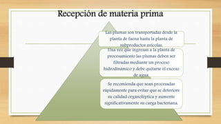 Recepción de materia prima
 