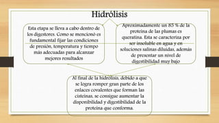 Hidrólisis
Esta etapa se lleva a cabo dentro de
los digestores. Como se mencionó es
fundamental fijar las condiciones
de presión, temperatura y tiempo
más adecuadas para alcanzar
mejores resultados
Al final de la hidrólisis, debido a que
se logra romper gran parte de los
enlaces covalentes que forman las
cisteínas, se consigue aumentar la
disponibilidad y digestibilidad de la
proteína que conforma.
Aproximadamente un 85 % de la
proteína de las plumas es
queratina. Esta se caracteriza por
ser insoluble en agua y en
soluciones salinas diluidas, además
de presentar un nivel de
digestibilidad muy bajo
 