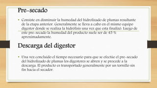 Pre-secado
• Consiste en disminuir la humedad del hidrolizado de plumas resultante
de la etapa anterior. Generalmente se lleva a cabo en el mismo equipo
digestor donde se realiza la hidrólisis una vez que esta finalizó. Luego de
este pre-secado la humedad del producto suele ser de 45 %
aproximadamente.
Descarga del digestor
• Una vez concluido el tiempo necesario para que se efectúe el pre-secado
del hidrolizado de plumas los digestores se abren y se procede a la
descarga. El producto es transportado generalmente por un tornillo sin
fin hacia el secador.
 