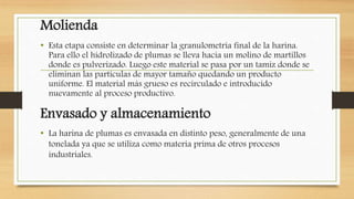 Molienda
• Esta etapa consiste en determinar la granulometría final de la harina.
Para ello el hidrolizado de plumas se lleva hacia un molino de martillos
donde es pulverizado. Luego este material se pasa por un tamiz donde se
eliminan las partículas de mayor tamaño quedando un producto
uniforme. El material más grueso es recirculado e introducido
nuevamente al proceso productivo.
Envasado y almacenamiento
• La harina de plumas es envasada en distinto peso, generalmente de una
tonelada ya que se utiliza como materia prima de otros procesos
industriales.
 