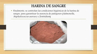 HARINA DE SANGRE
• Finalmente, se controlan las condiciones higiénicas de la harina de
sangre, para garantizar la ausencia de patógenos (Salmonella,,
Staphylococcus aureus y Clostridium).
 