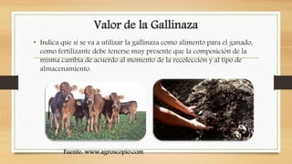 Valor de la Gallinaza
• Indica que si se va a utilizar la gallinaza como alimento para el ganado,
como fertilizante debe tenerse muy presente que la composición de la
misma cambia de acuerdo al momento de la recolección y al tipo de
almacenamiento.
Fuente: www.agroscopio.com
 