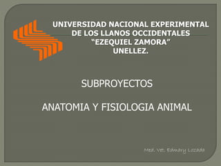 UNIVERSIDAD NACIONAL EXPERIMENTAL
DE LOS LLANOS OCCIDENTALES
“EZEQUIEL ZAMORA”
UNELLEZ.
SUBPROYECTOS
ANATOMIA Y FISIOLOGIA ANIMAL
Med. Vet. Edmary Lozada
 