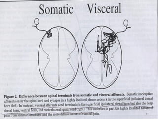 5/1/2017 11Chronic Pain Management
 