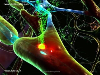 5/1/2017 14Chronic Pain Management
 