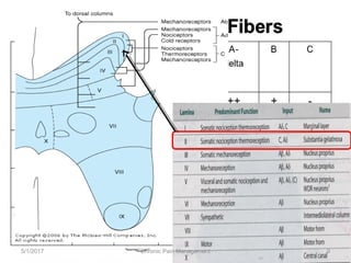 5/1/2017 9Chronic Pain Management
 