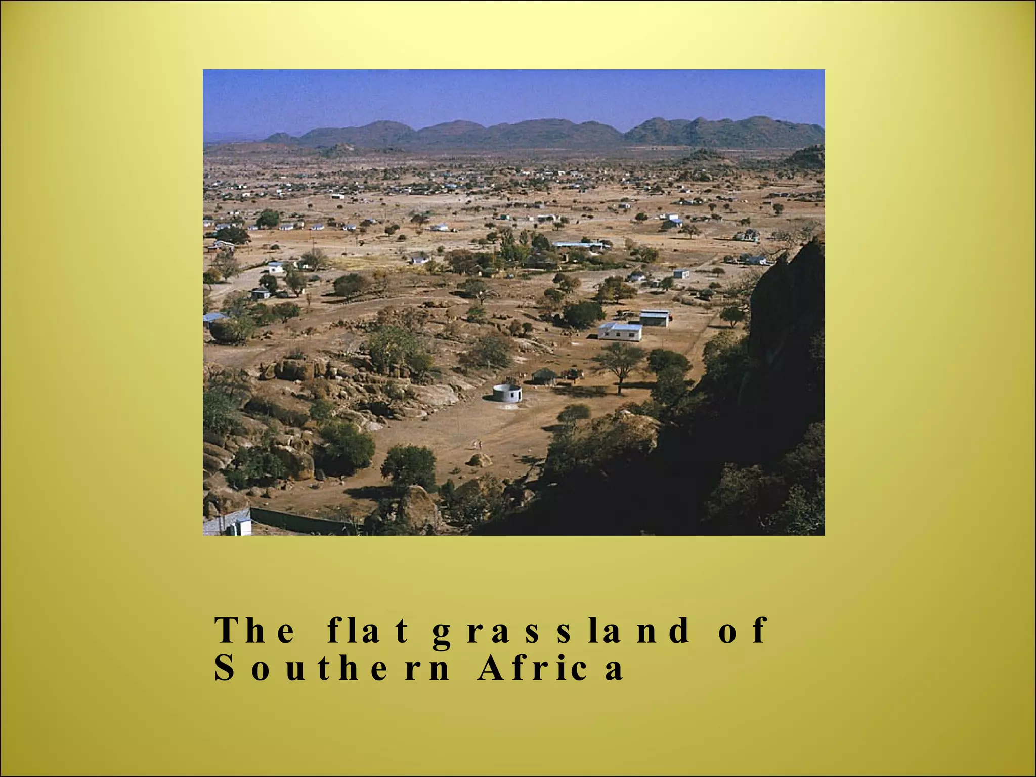 The flat grassland of Southern Africa 