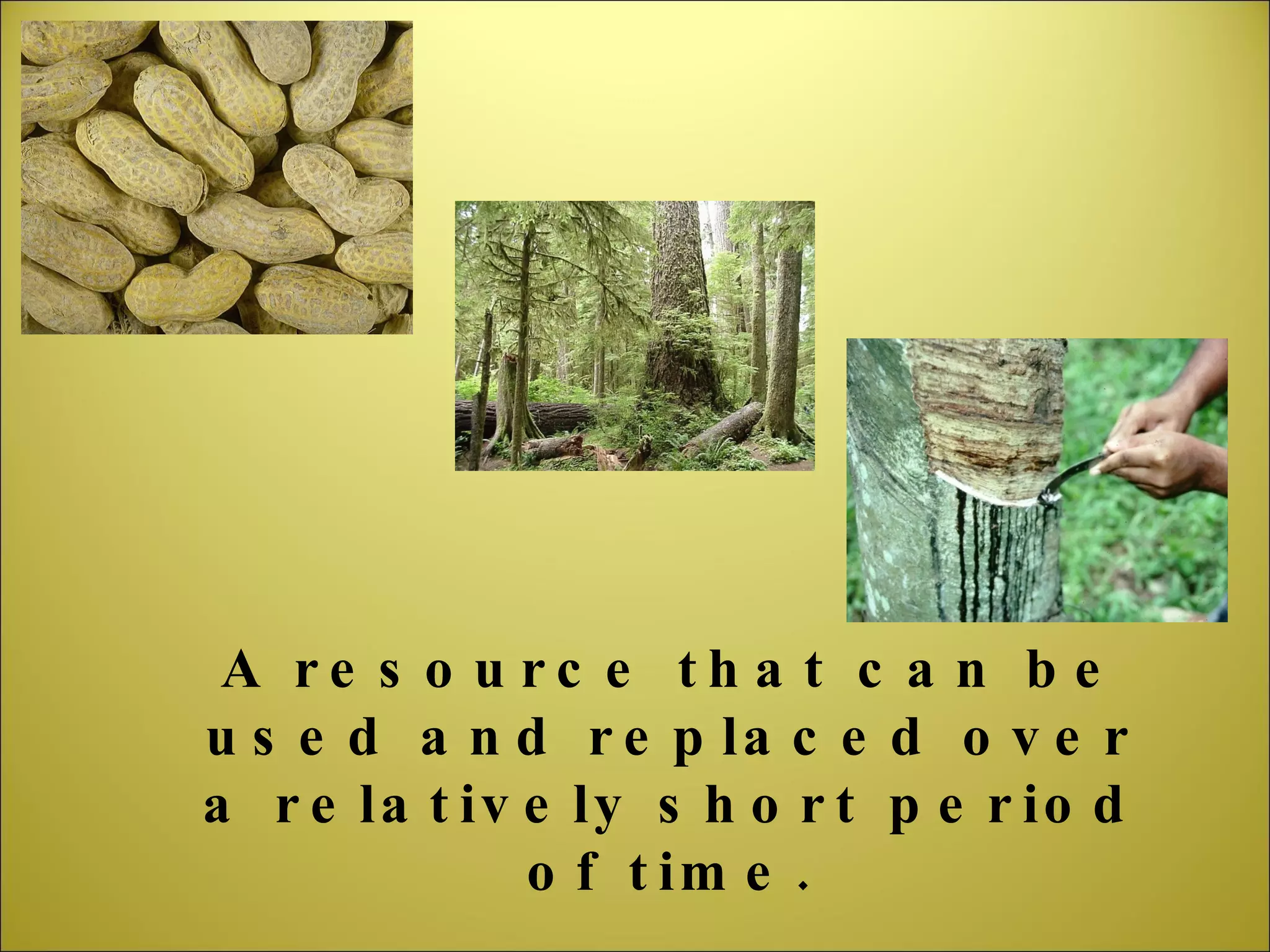 A resource that can be used and replaced over a relatively short period of time. 