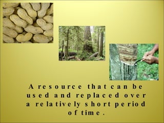 A resource that can be used and replaced over a relatively short period of time. 