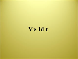 Veldt 