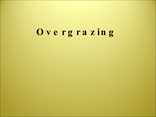 Overgrazing 