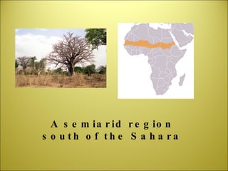 A semiarid region south of the Sahara 
