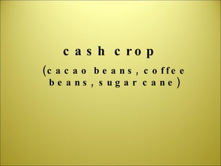 cash crop (cacao beans, coffee beans, sugar cane) 