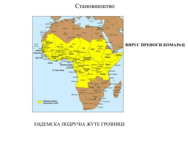 Карта Африки с разделением на субрегионы. Разделение Африки по частям. Особенности географического положения центральной африки