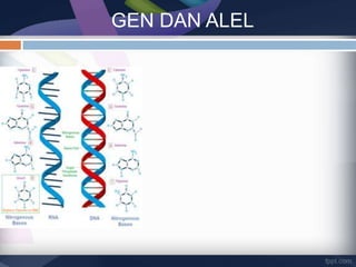 Substansi genetika HS XII | PPTX
