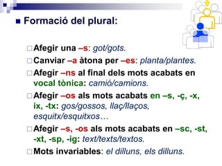  Formació del plural:
Afegir una –s: got/gots.
Canviar –a àtona per –es: planta/plantes.
Afegir –ns al final dels mots acabats en
vocal tònica: camió/camions.
Afegir –os als mots acabats en –s, -ç, -x,
ix, -tx: gos/gossos, llaç/llaços,
esquitx/esquitxos…
Afegir –s, -os als mots acabats en –sc, -st,
-xt, -sp, -ig: text/texts/textos.
Mots invariables: el dilluns, els dilluns.
 