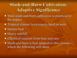 Slash-and-Burn Cultivation: Adaptive Significance Most slash-and-burn cultivation is practiced in the tropics Tropical climate is extremely hard on soils  Intense heat Heavy rainfall Chemical reaction from heat and rain Slash-and-burn is best adapted to this climate--which the following will show 