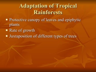 Adaptation of Tropical Rainforests Protective canopy of leaves and epiphytic plants Rate of growth Juxtaposition of different types of trees 