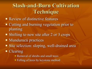 Slash-and-Burn Cultivation Technique Review of distinctive features Cutting and burning vegetation prior to planting Shifting to new site after 2 or 3 crops Mundurucú practices Site selection: sloping, well-drained area Clearing Removal of shrubs and small trees Felling of trees by keystone method 