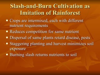 Slash-and-Burn Cultivation as Imitation of Rainforest Crops are intermixed, each with different nutrient requirements Reduces competition for same nutrient Dispersal of same plants retard disease, pests Staggering planting and harvest minimizes soil exposure Burning slash returns nutrients to soil 