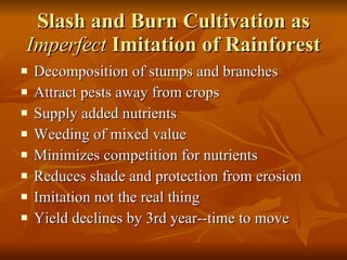 Slash and Burn Cultivation as  Imperfect  Imitation of Rainforest Decomposition of stumps and branches Attract pests away from crops Supply added nutrients Weeding of mixed value Minimizes competition for nutrients Reduces shade and protection from erosion Imitation not the real thing Yield declines by 3rd year--time to move 