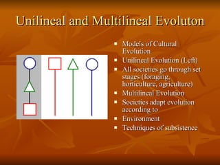 Unilineal and Multilineal Evoluton Models of Cultural Evolution Unilineal Evolution (Left) All societies go through set stages (foraging, horticulture, agriculture) Multilineal Evolution Societies adapt evolution according to Environment  Techniques of subsistence 