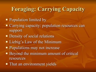 Foraging: Carrying Capacity Population limited by Carrying capacity: population resources can support Density of social relations Liebig’s Law of the Minimum Populations may not increase Beyond the minimum amount of critical resources That an environment yields 