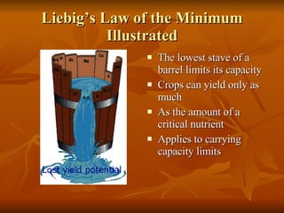Liebig’s Law of the Minimum Illustrated The lowest stave of a barrel limits its capacity Crops can yield only as much As the amount of a critical nutrient Applies to carrying capacity limits 