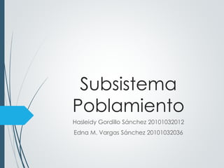 Subsistema 
Poblamiento 
Hasleidy Gordillo Sánchez 20101032012 
Edna M. Vargas Sánchez 20101032036 
 