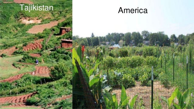 subsistence farming what is subsistence farming