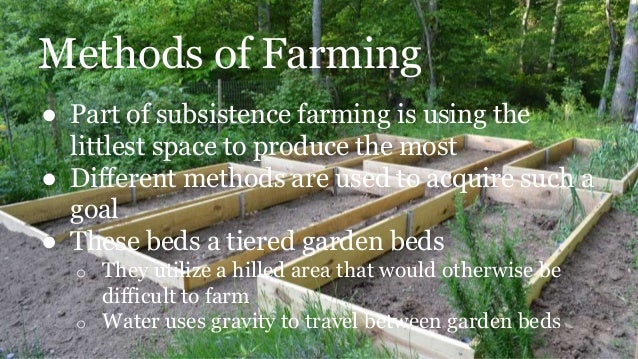 subsistence farming what is subsistence farming