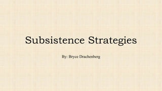 Subsistence Strategies
By: Bryce Drachenberg
 