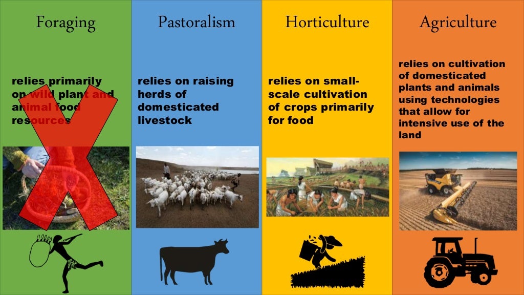 Subsistence Strategies