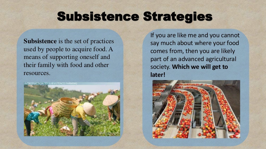 Subsistence Strategies
