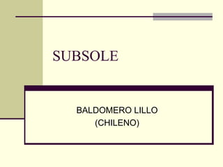 SUBSOLE BALDOMERO LILLO (CHILENO) 