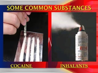 COCAINE  INHALANTS 