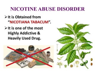 NICOTINE ABUSE DISORDER
It is Obtained from
“NICOTIANA TABACUM”.
It is one of the most
Highly Addictive &
Heavily Used Drug.
 