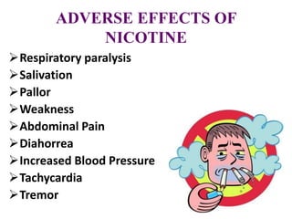 ADVERSE EFFECTS OF
NICOTINE
Respiratory paralysis
Salivation
Pallor
Weakness
Abdominal Pain
Diahorrea
Increased Blood Pressure
Tachycardia
Tremor
 
