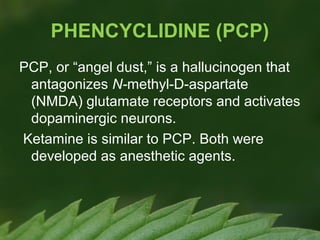 PHENCYCLIDINE (PCP)
PCP, or “angel dust,” is a hallucinogen that
antagonizes N-methyl-D-aspartate
(NMDA) glutamate receptors and activates
dopaminergic neurons.
Ketamine is similar to PCP. Both were
developed as anesthetic agents.

 